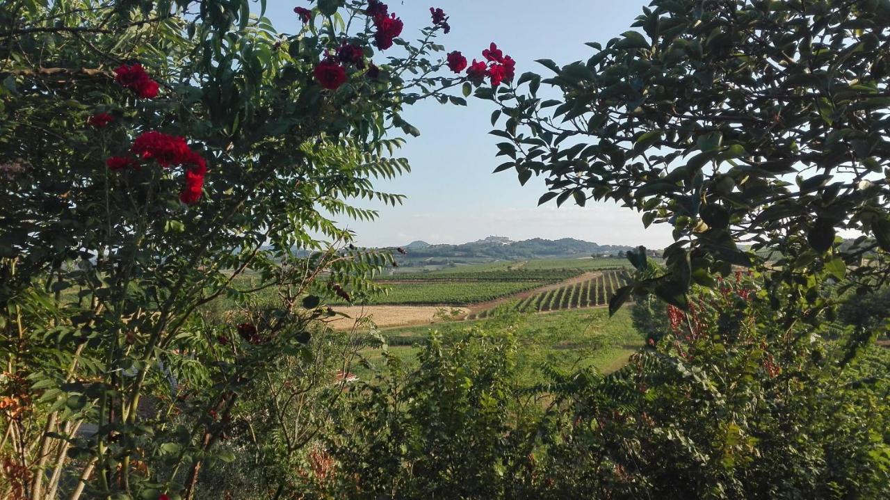 Agriturismo La Chiesina Abbadia di Montepulciano Kültér fotó