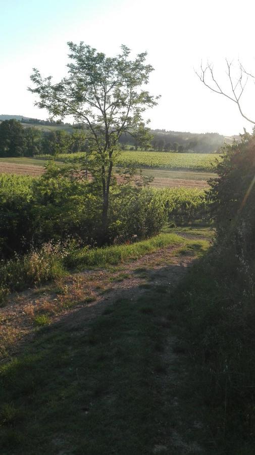 Agriturismo La Chiesina Abbadia di Montepulciano Kültér fotó
