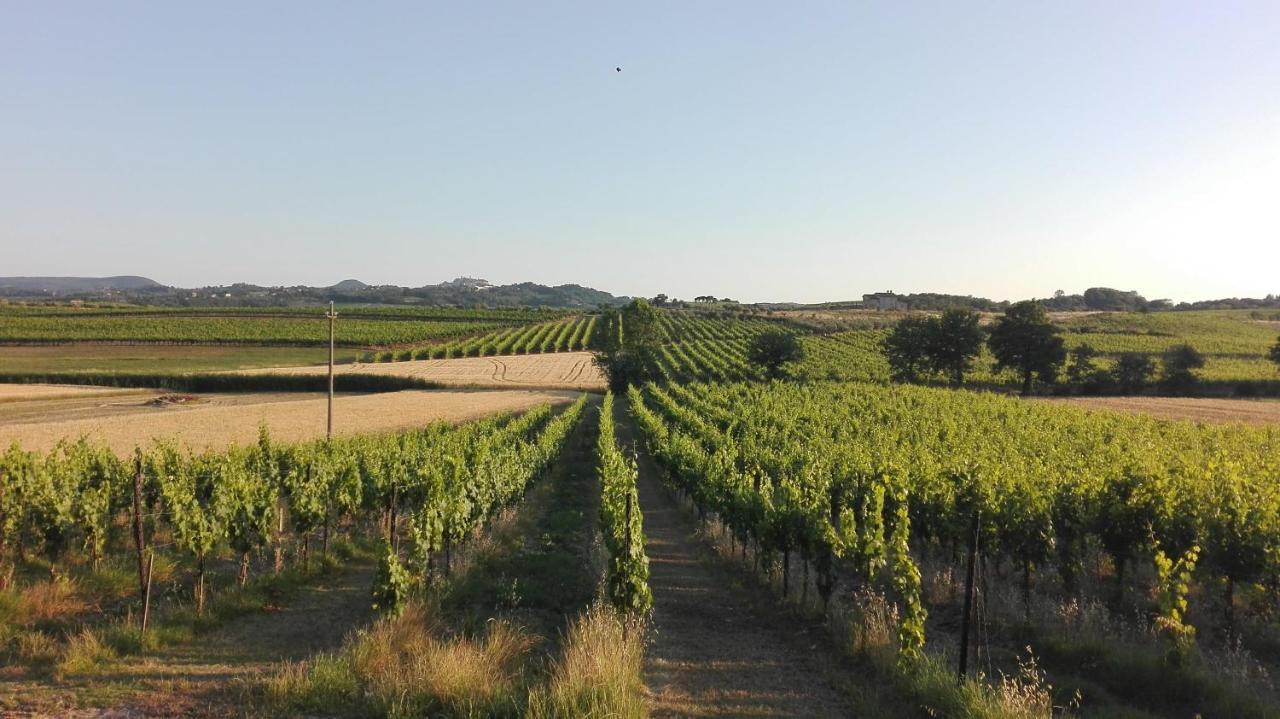 Agriturismo La Chiesina Abbadia di Montepulciano Kültér fotó